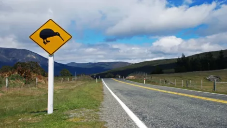 Dot Kiwi - Taking the Internet in a new direction...