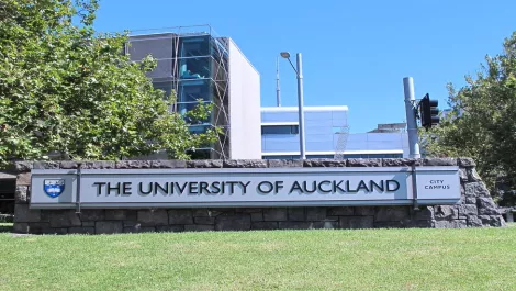 Auckland Uni server under threat