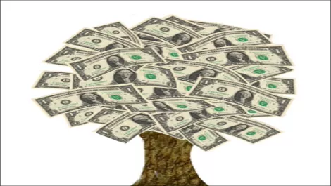 $50 million up for grabs