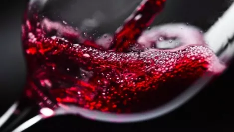 Wine innovation takes out Auckland Uni Spark $100k Challenge