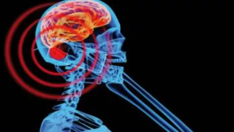 Myth buster: Mobile phones don't give you brain tumours