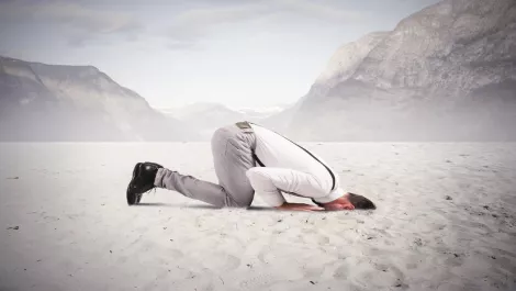 Thinkstockphotos 505283111