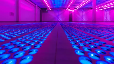 Thinkstockphotos 611788278