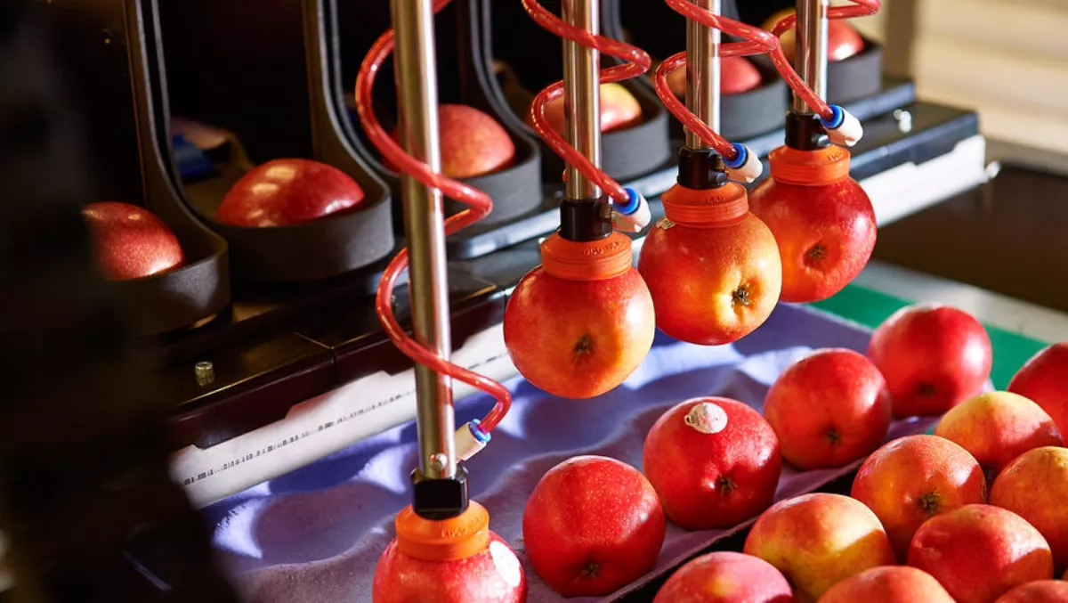 Tauranga startup signs global deal for robotic apple packers