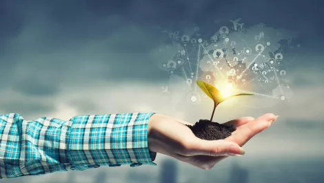 Thinkstockphotos 591830848