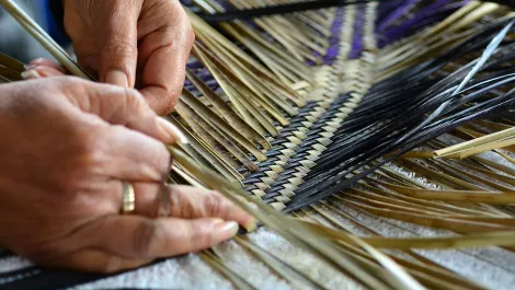 Lack of financial support for Māori entrepreneurs leaves businesses struggling