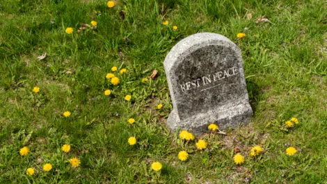 Screen shot 2018 12 05 at 11