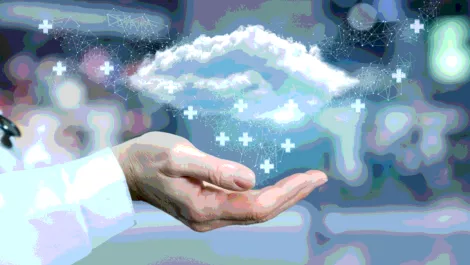 Screen shot 2019 02 12 at 2