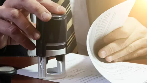 Look before you leap: Making a name for yourself as a tech startup