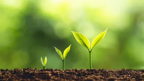 Gettyimages 956366756