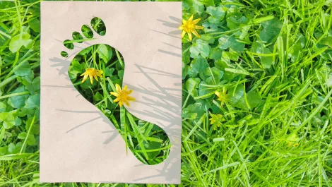 Gettyimages 1225395010