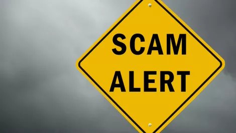 Are banks, social media and telcos to blame for scam explosion?