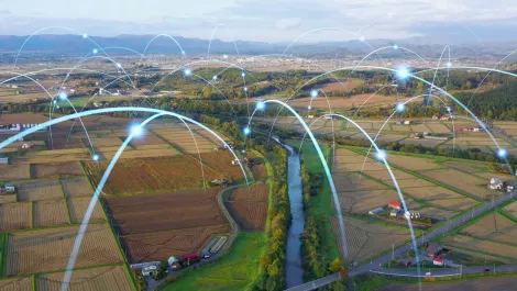 Voyager begins countrywide 100 gigabit network upgrade