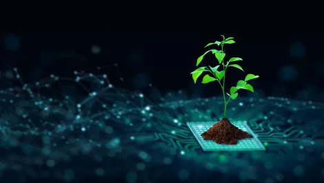 Catalyst Cloud attains Toitū net carbonzero certification
