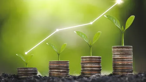 Gettyimages 1386672296