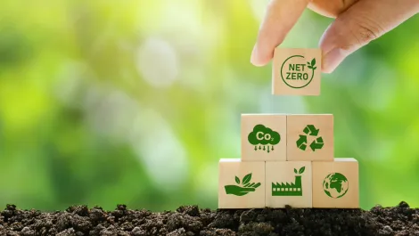 Gettyimages 1388420740