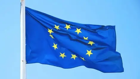 Euro flag