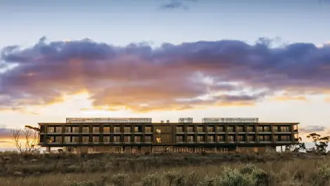 Monarto accommodation 2024 mushroom creative 28